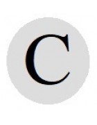 Бусины с буквами серебристые круглые C